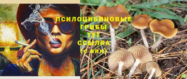 ECSTASY Лагань