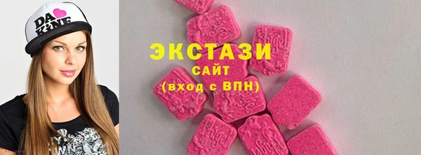 ECSTASY Лагань