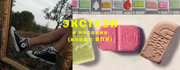 ECSTASY Лагань