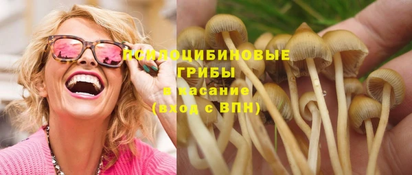 2c-b Липки