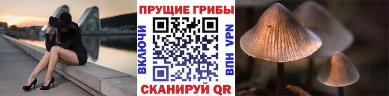 Псилоцибиновые грибы GOLDEN TEACHER  мориарти какой сайт  Моршанск 